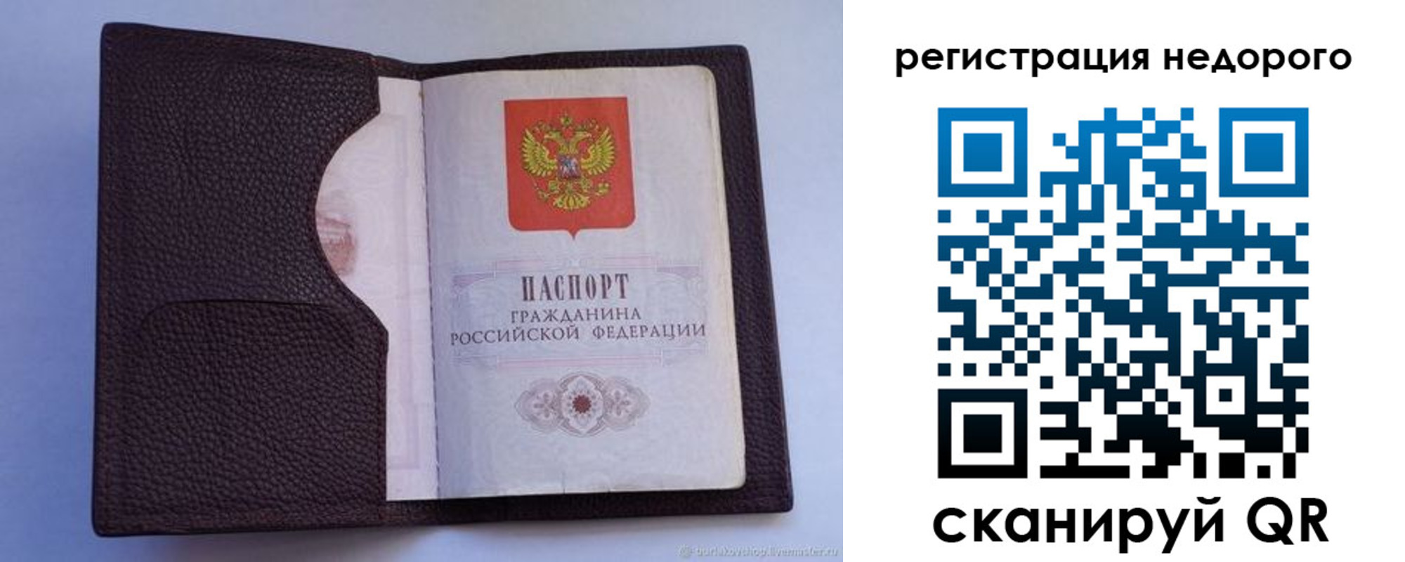 где прописаться в Зеленогорске